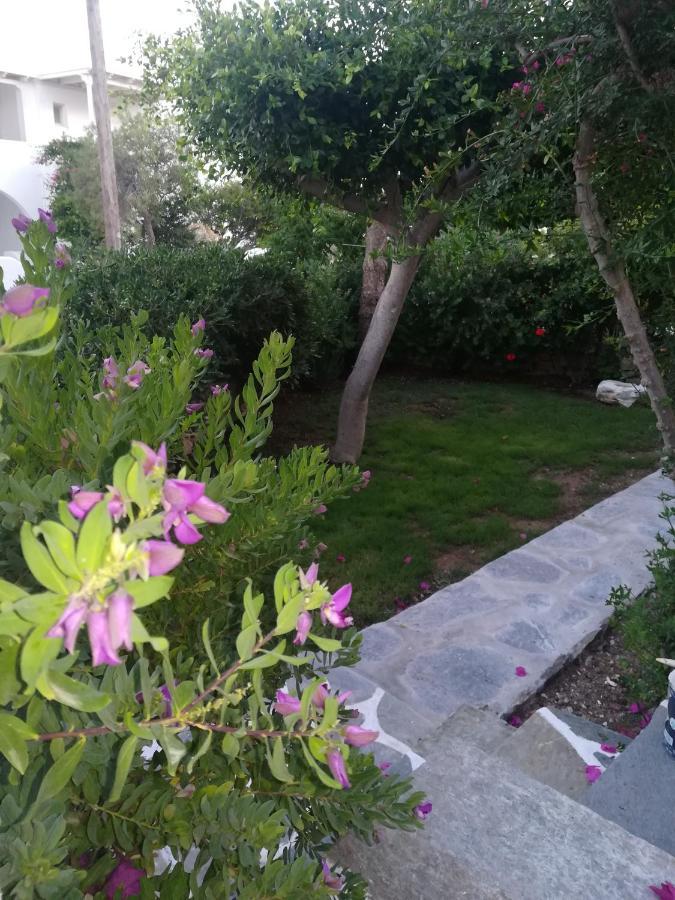 Sundeck Apartment Drios Bagian luar foto